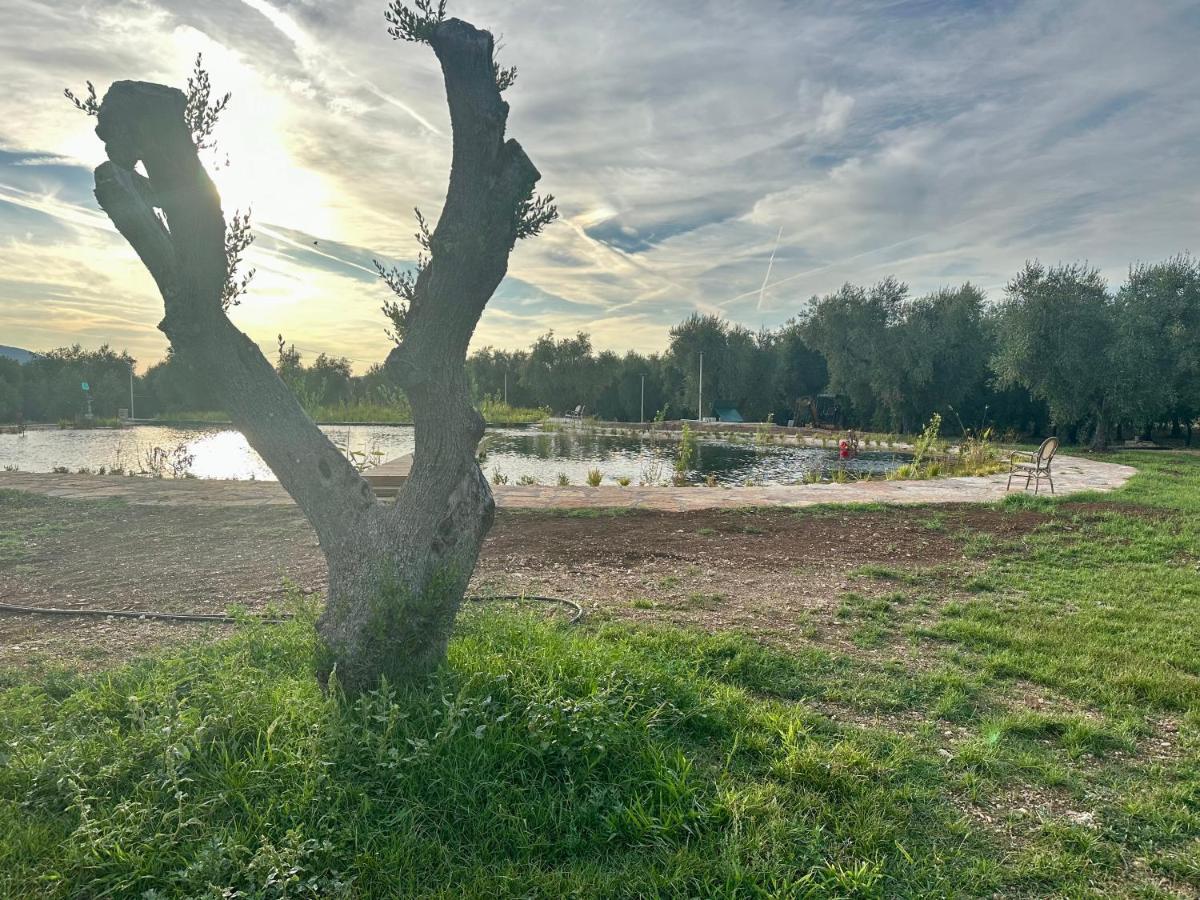 Agriturismo Biorussi Carpino Ngoại thất bức ảnh