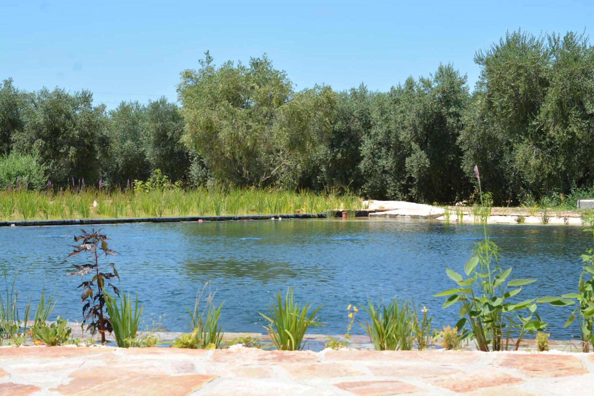 Agriturismo Biorussi Carpino Ngoại thất bức ảnh